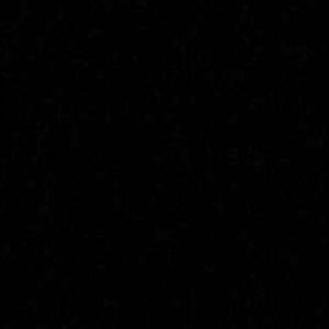 Meet your Posher, Berlyn